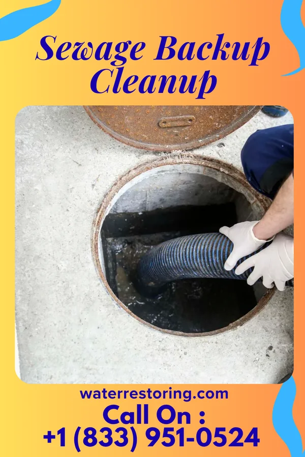 Sewage Backup Cleanup in Crescent City, FL